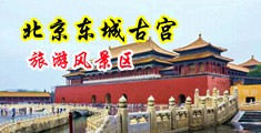欧美大鸡巴操大中国北京-东城古宫旅游风景区